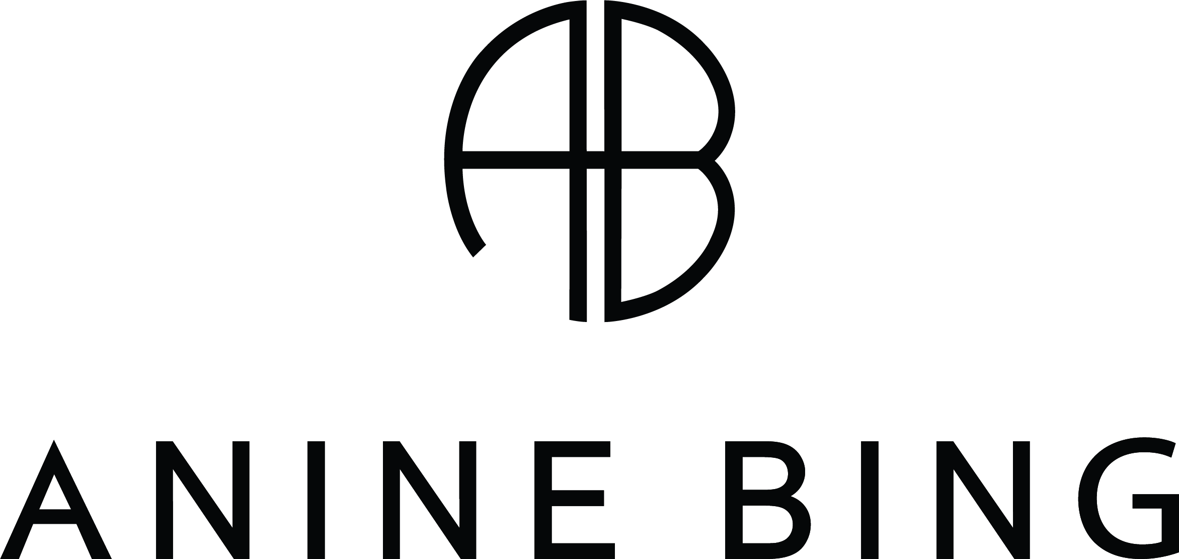 ANINE BING logo