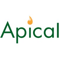 Apical logo