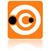 APP Consultoría - Powering Project Success & Digital Enablement logo
