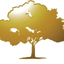 The Golden Tree - Wien
