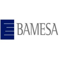 Bamesa logo