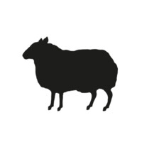 BBH USA logo
