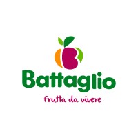 BATTAGLIO SPA logo
