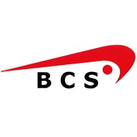 BCS - Business Consulting Support Cyprus logo