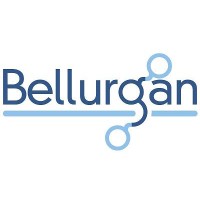 Bellurgan Precision Engineering logo