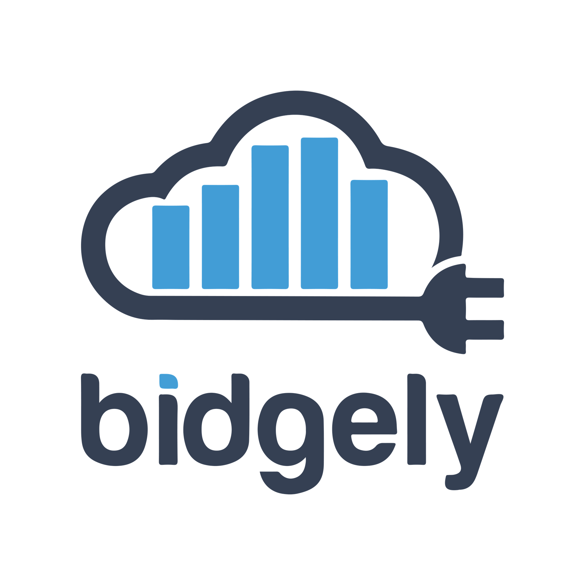 Bidgely logo