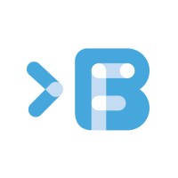 Big Fish Consult logo
