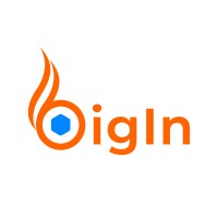 BigIn logo