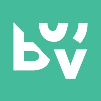 Big Screen Video logo