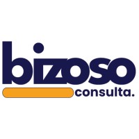 Bizoso Consulta logo