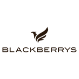 Blackberrys logo