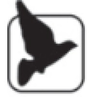 Blackbird Corporate Ltd logo