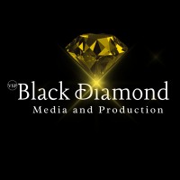 VSP - Black Diamond Media & Production Pvt. Ltd. logo
