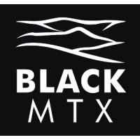Black Mountain Dynamics logo