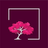 Blossom Consult logo