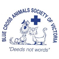 Blue Cross Animals Society of Victoria