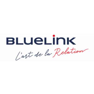 BlueLink logo