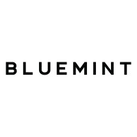 BLUEMINT logo