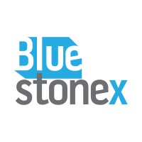 Bluestonex - SAP BTP Factory and Data Management Software logo