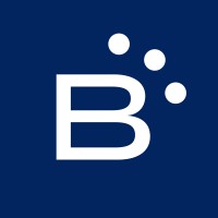 Borealux logo