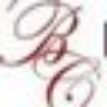 Boston Chauffeur Inc logo