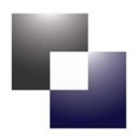 Bowman Williams logo