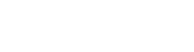 Brainsonic logo