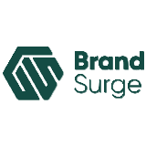 Brand Surge LLC logo