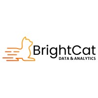 BrightCat Data & Analytics Inc. logo