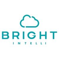 Bright Intelli LLC logo
