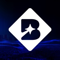 BringUp - מערכות מידע logo