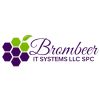 Brombeer IT Systems LLC logo