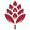 Browin logo