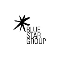 Blue Star Group (BSG) logo