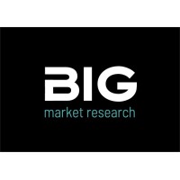 Business Intelligence Group srl