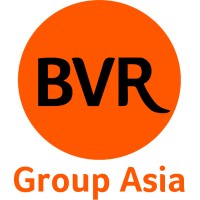 BVR Group Asia logo