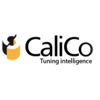 Logo Calico Infosystems Pvt Ltd