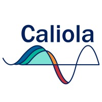 Caliola Engineering, LLC logo