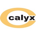 Calyx Chemicals & Pharmaceuticals Ltd. logo
