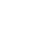 Camp Winston Foundation logo