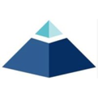 Capstone Medical logo