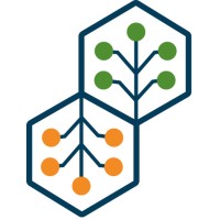 Carapax IT logo