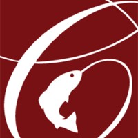 Catch Engineering logo