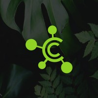 Logo Causeway Connect