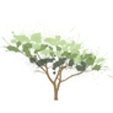 Chestnut Woods Rehabilitation & Healthcare Center logo