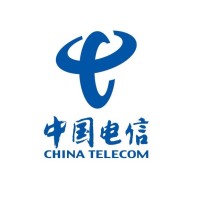 China Telecom Global logo