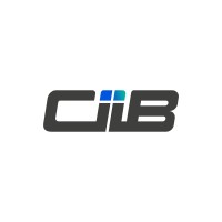 Logo CIIB Digital Service