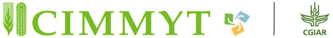 CIMMYT logo