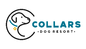 Collars Dog Resort logo