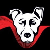 Connoisseur Media logo